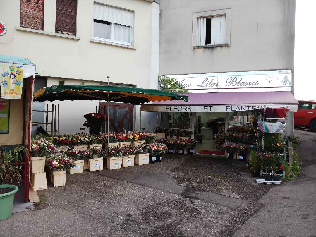 Aux Lilas Blancs