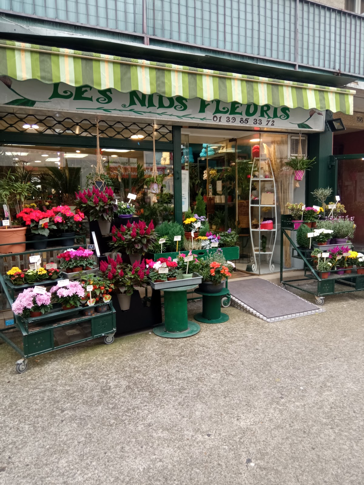 Les Nids Fleuris/fleurs Ekin