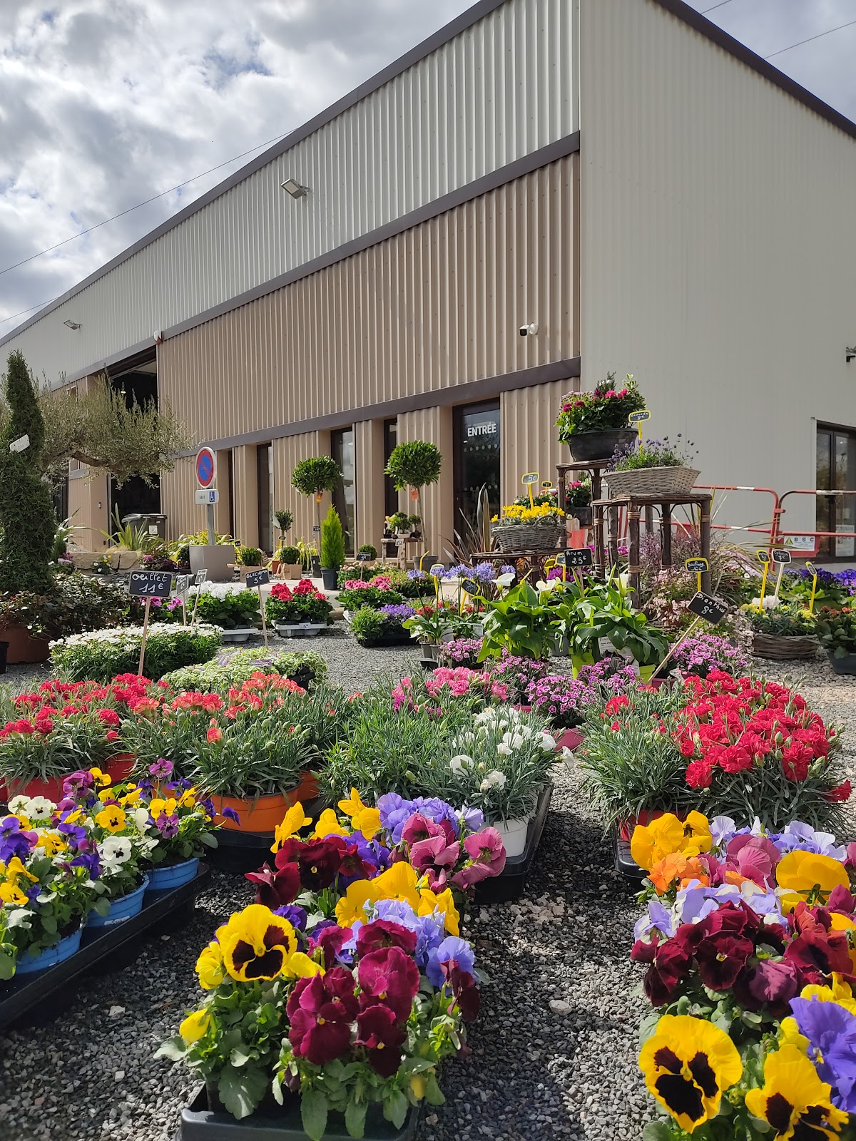 Ambiance florale Blois & Fleur Drive Blois