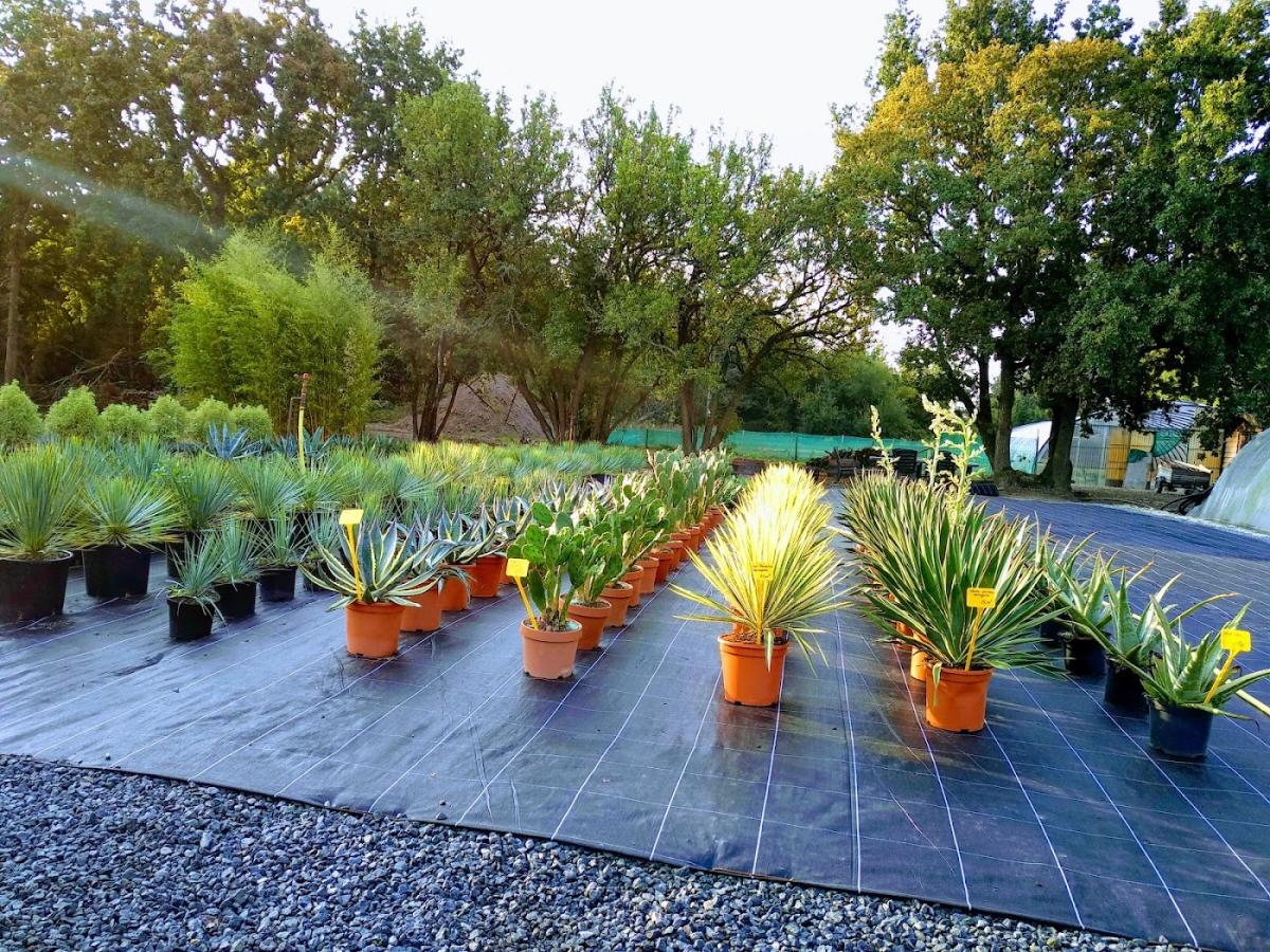 Pepinieres Du Littoral