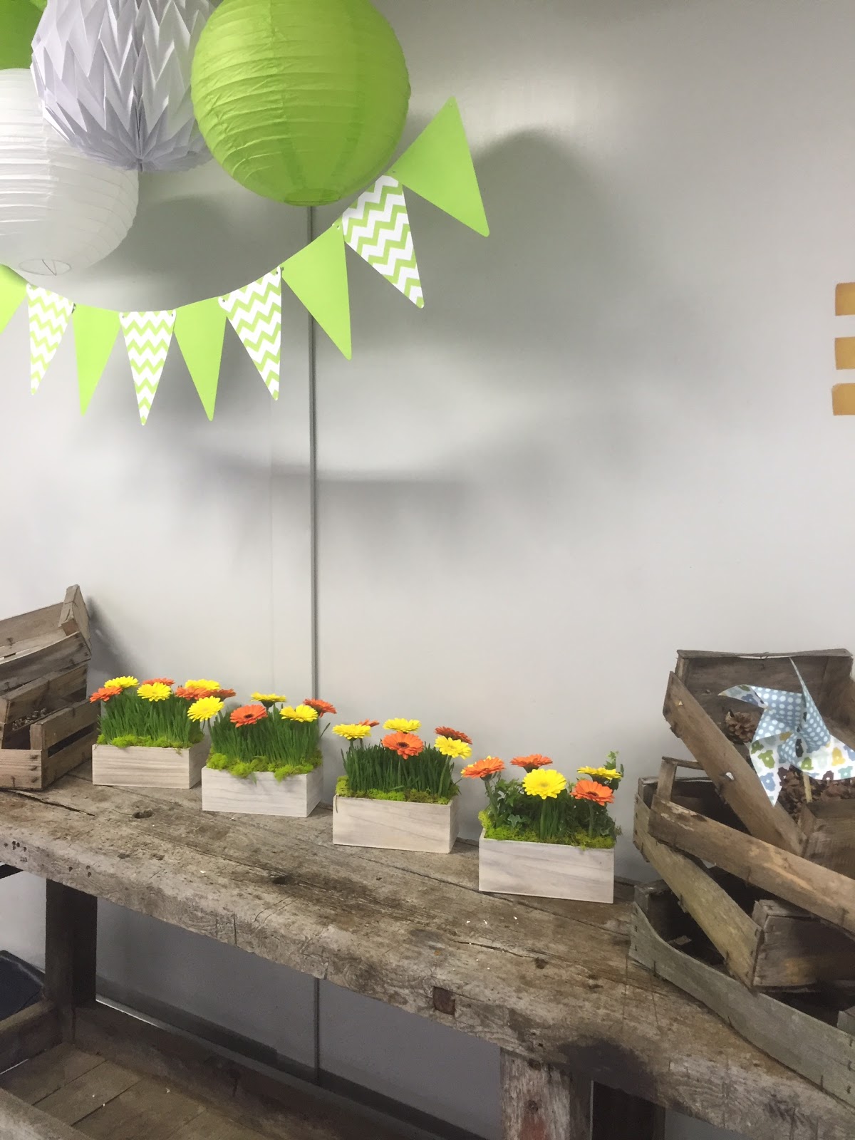 LES SERRES VAN DE SYPE - SARL VAN DE SYPE