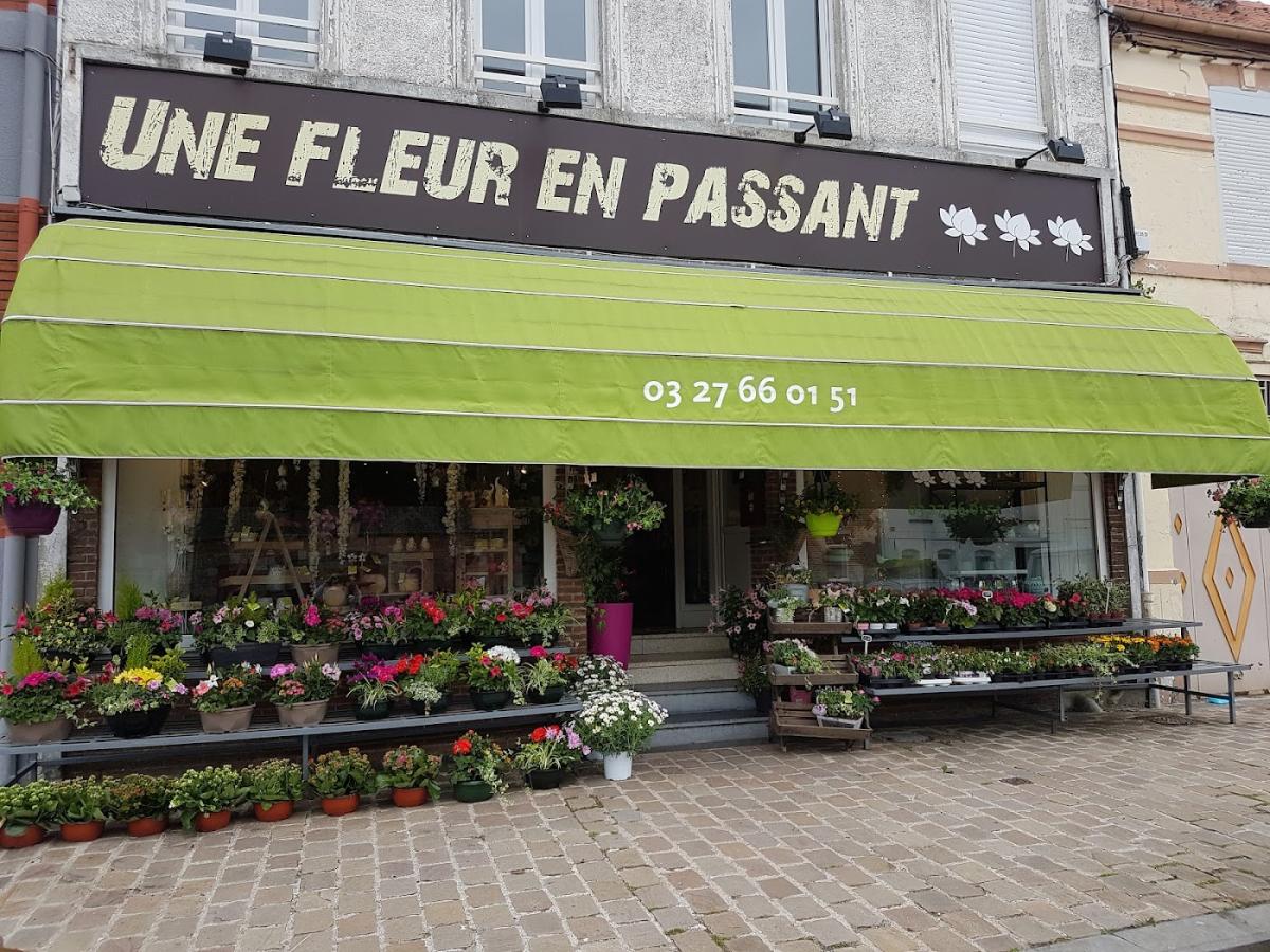 Une Fleur en Passant
