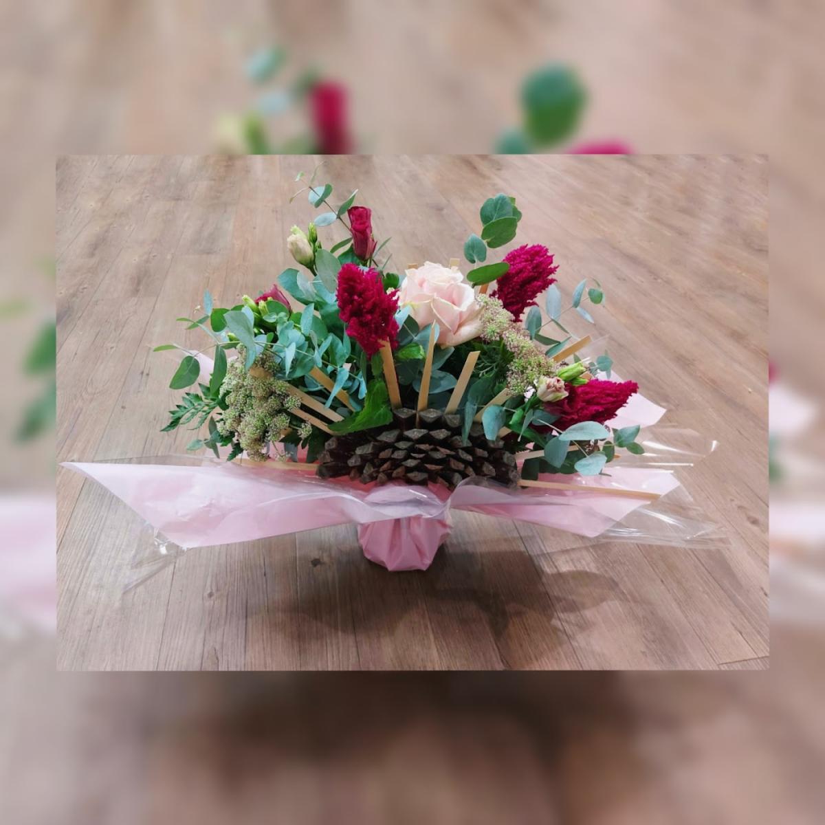 Amaryllis Pompignan 82