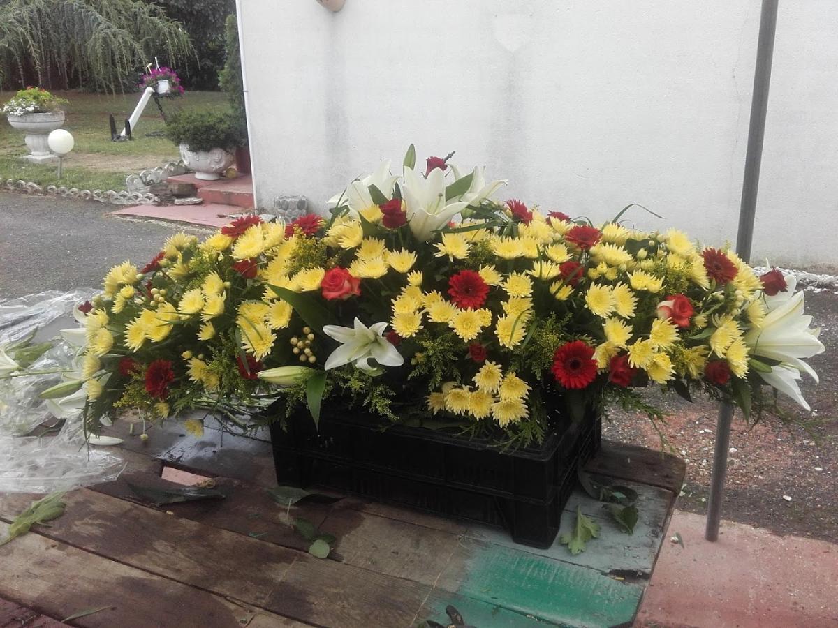 Les Fleurs De Calicie