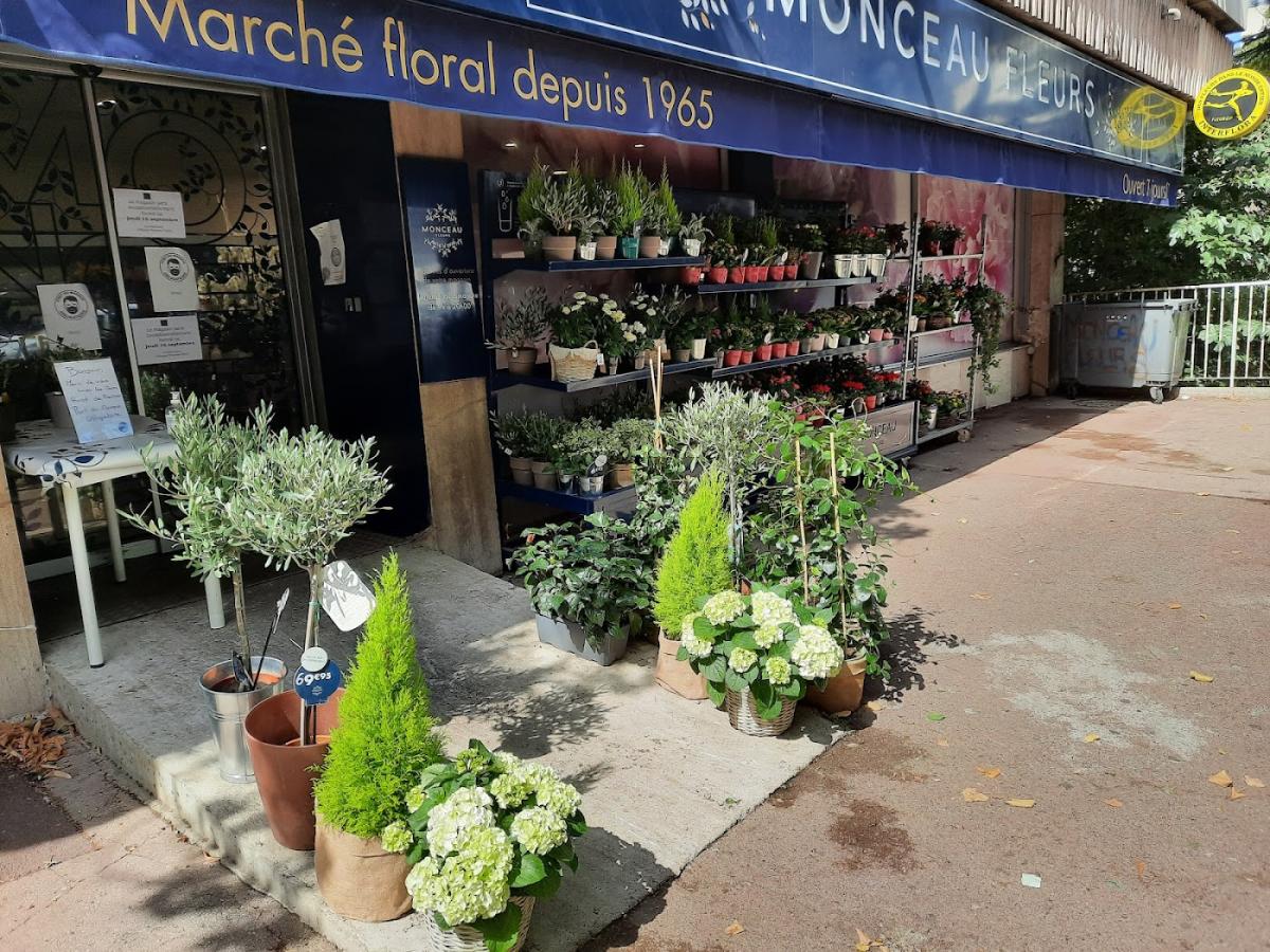 MONCEAU FLEURS
