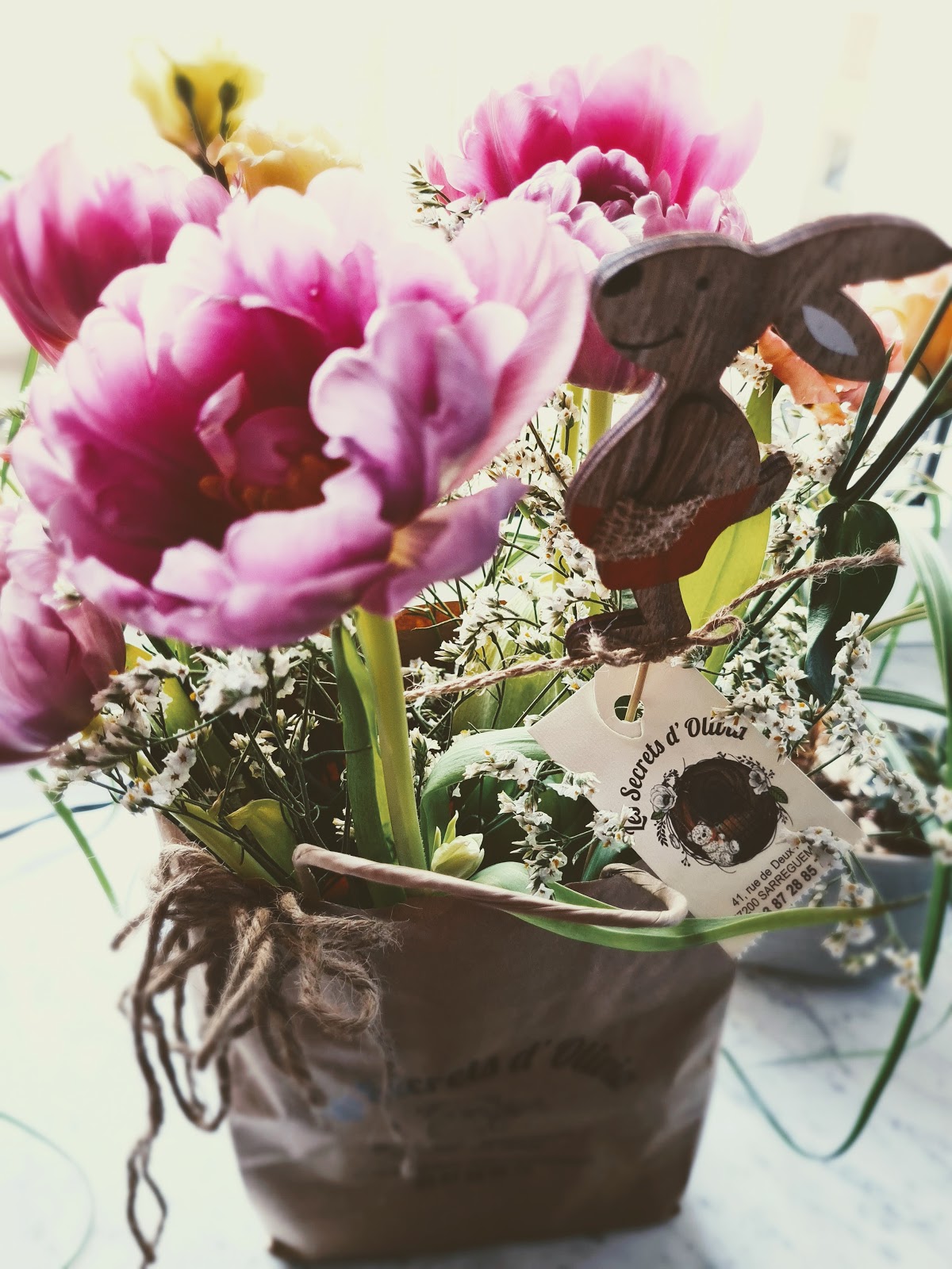 Les Secrets d'Olivia