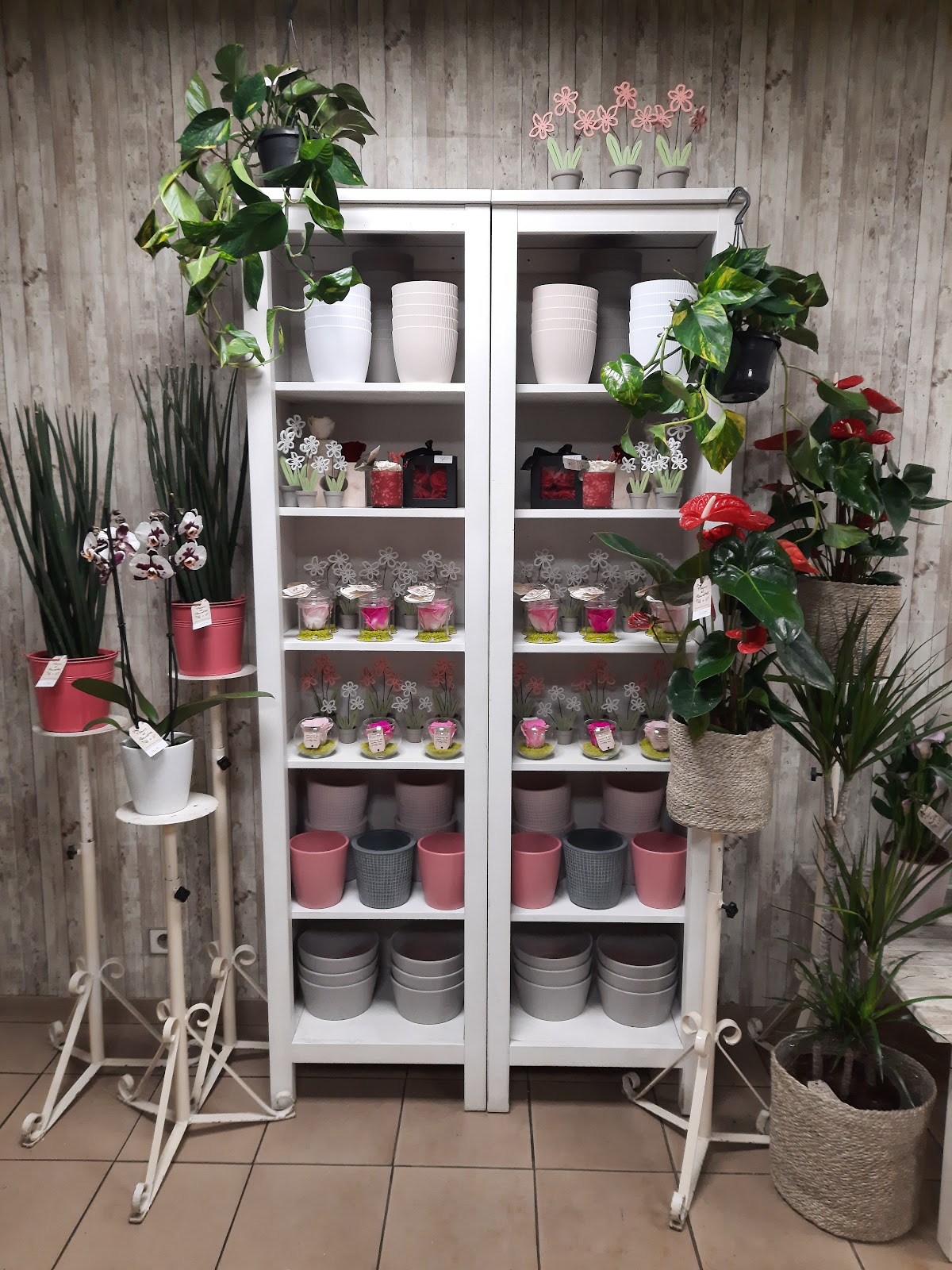 Fleurs et Fleurettes