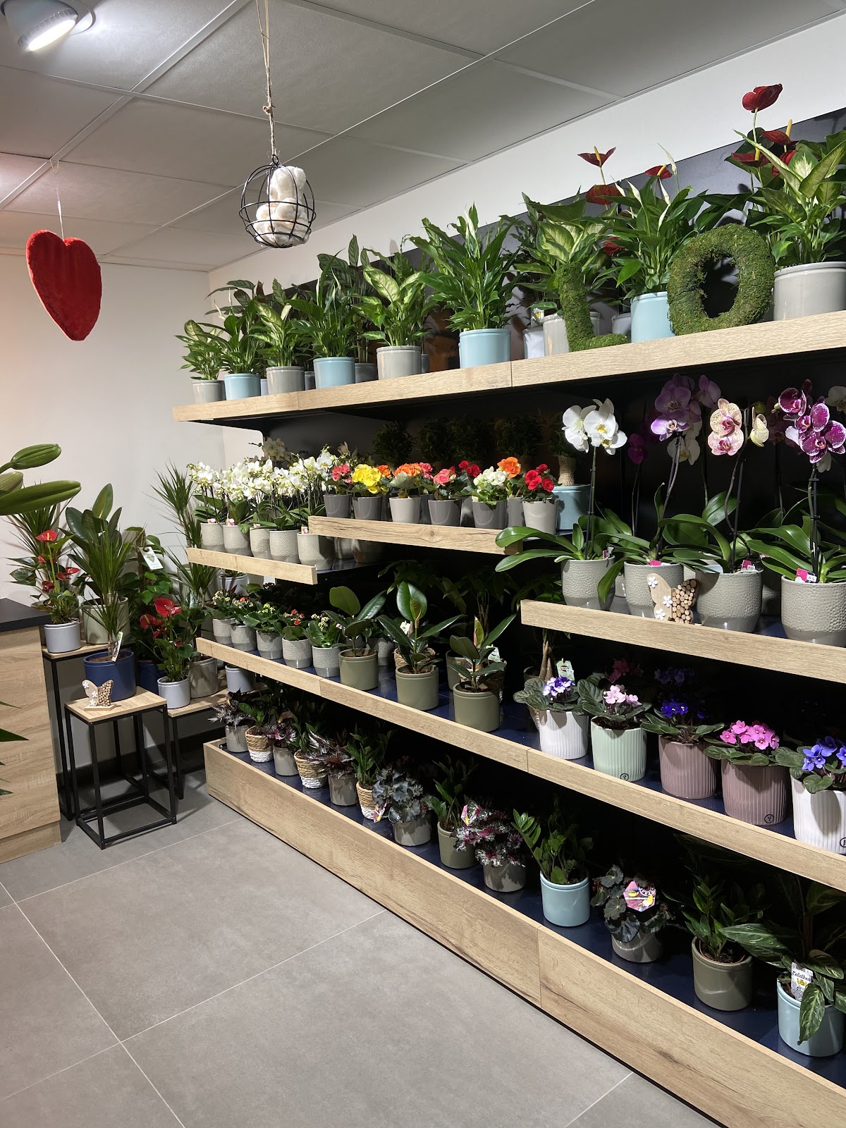 L’inflorescence Fleuriste