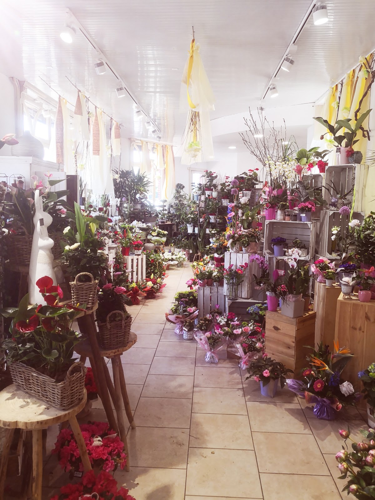 Pic Fleurs