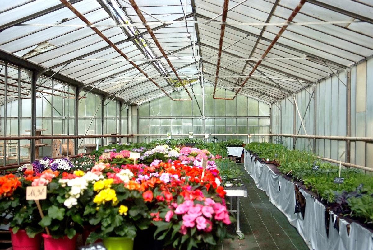 Les Serres de Saint Lyé