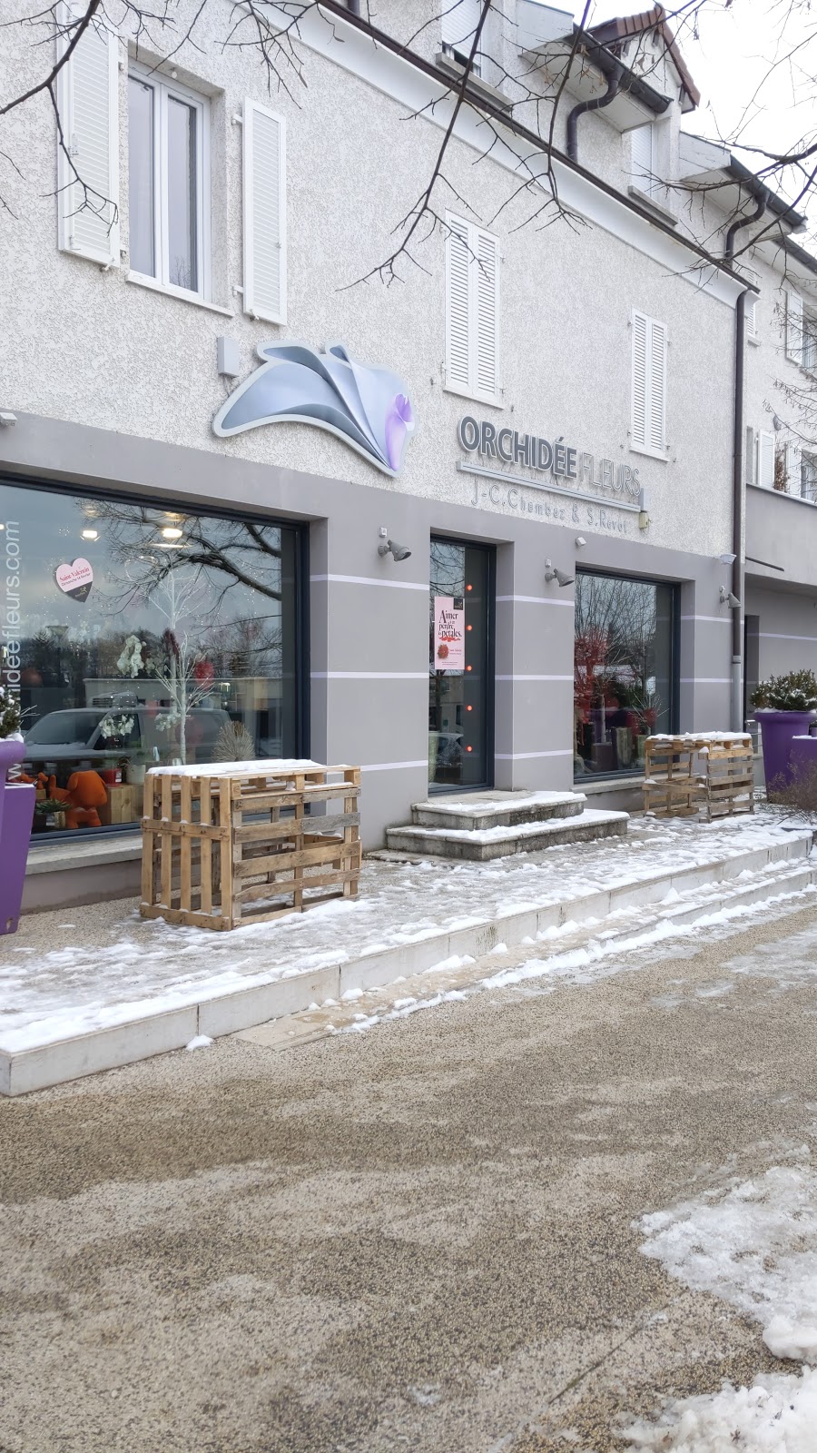 Orchidée fleurs / évents