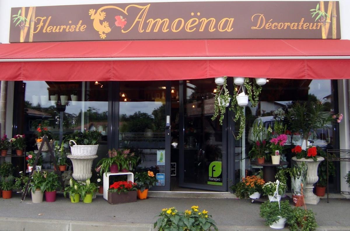AMOENA fleuriste décorateur