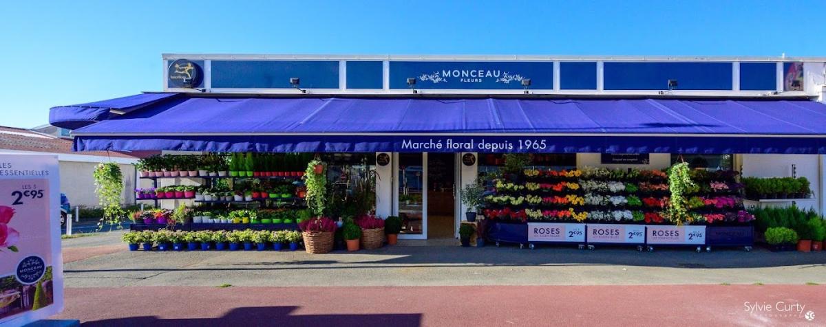 MONCEAU FLEURS