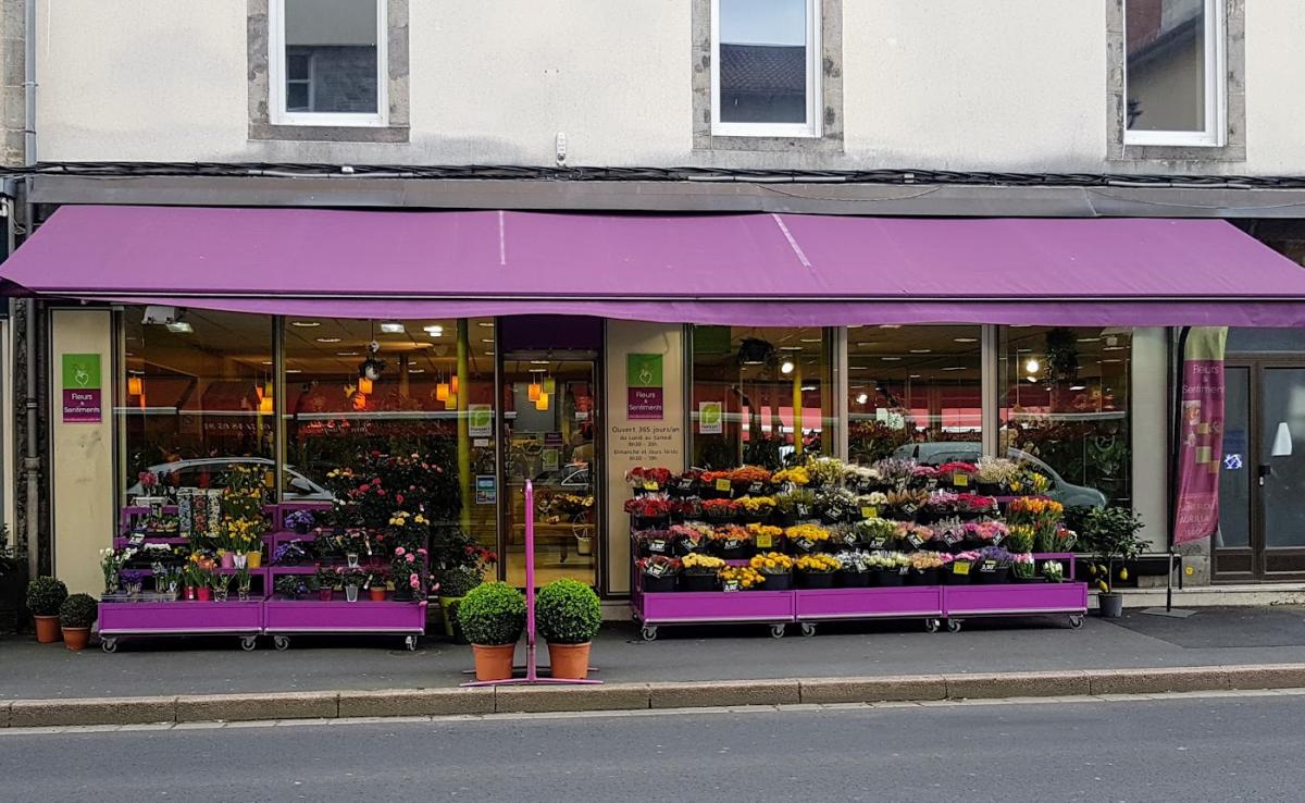 FLEURS ET SENTIMENTS