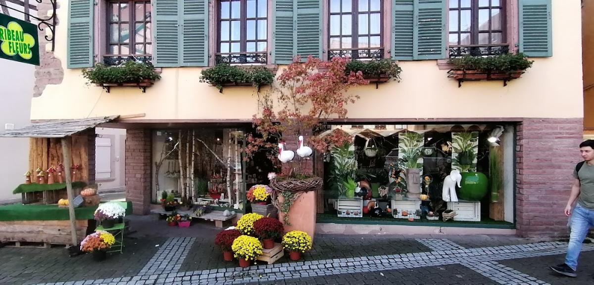 Ribeau-Fleurs nadelhoffer