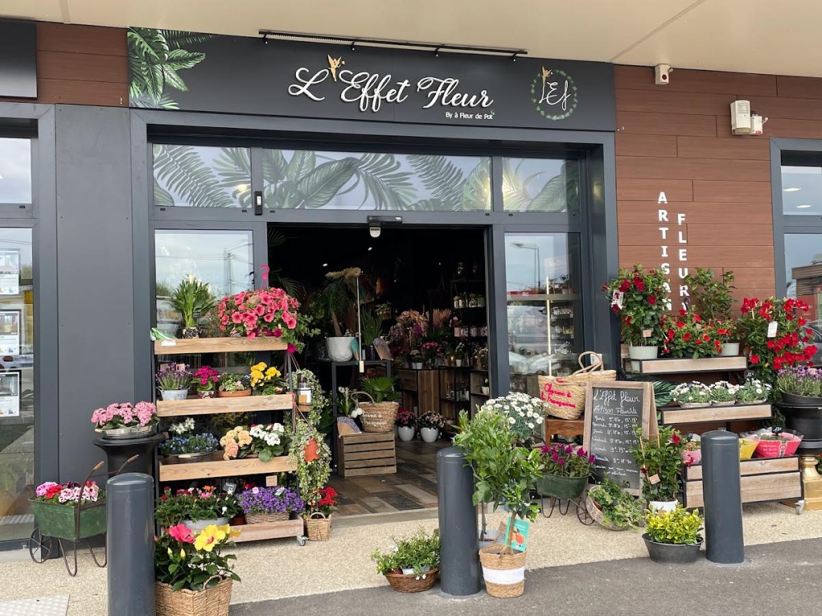 Fleuriste Tain-L'Hermitage - L'effet fleur by à Fleur de pot