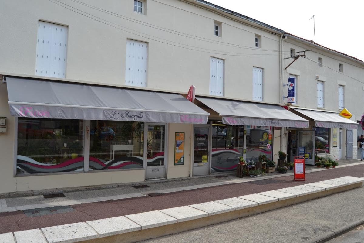 L''Amaryllis Boissinot Sylvie