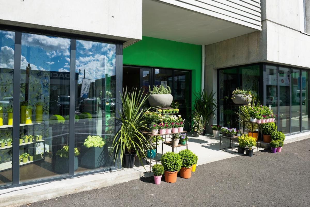 Acanthus | Fleuriste Bègles