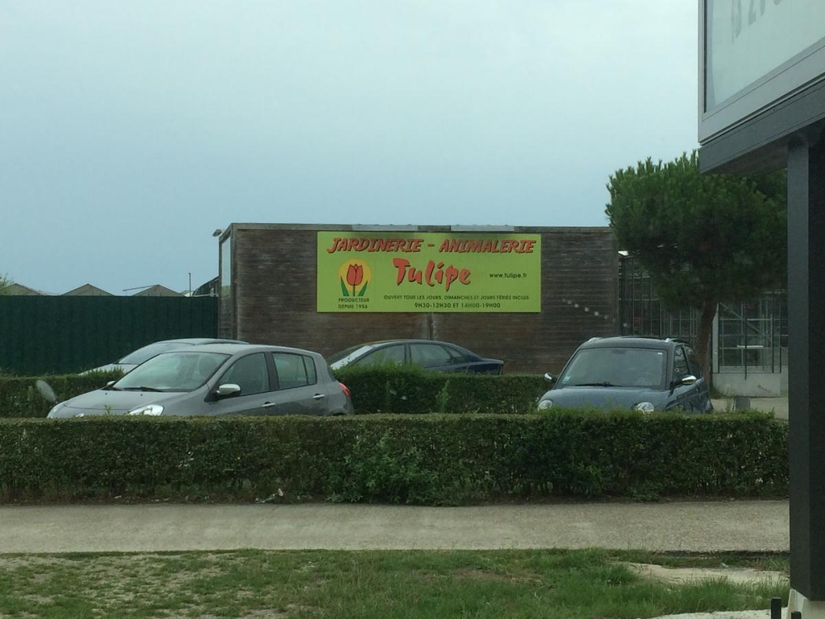 Jardinerie Animalerie Tulipe Berck