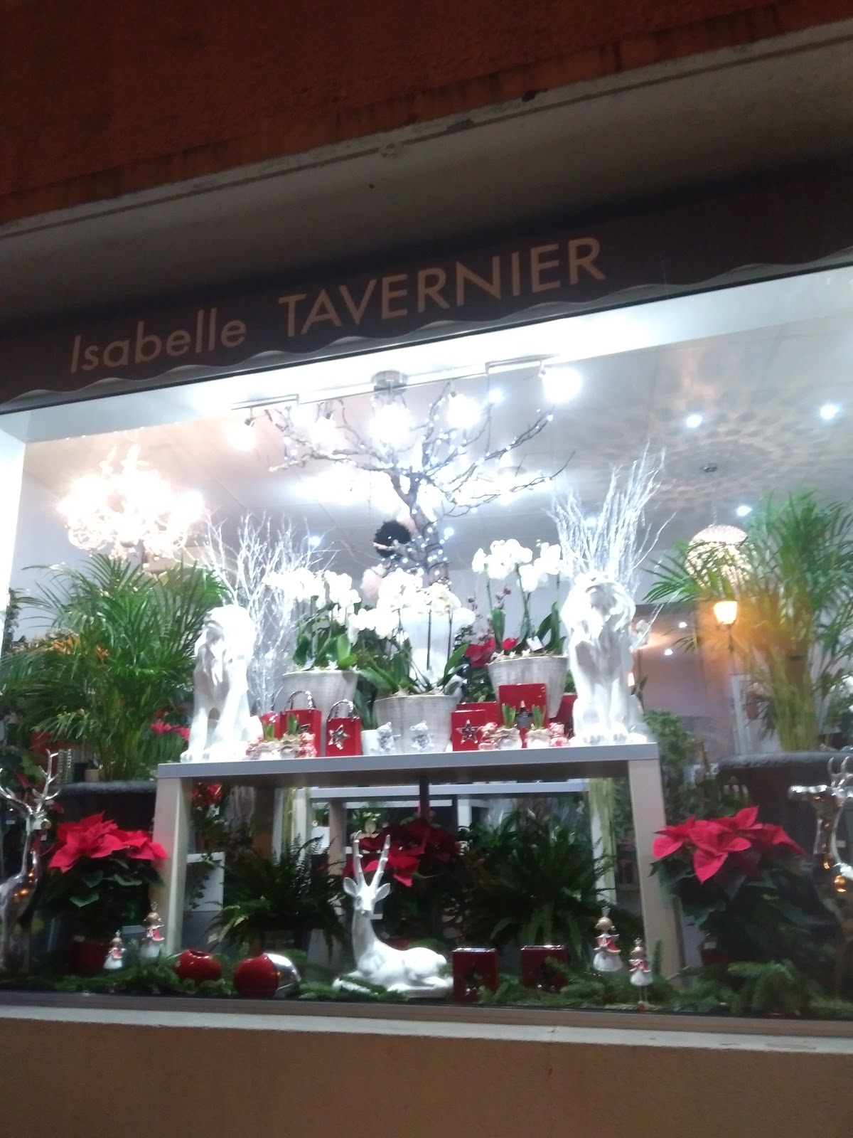 Chlorophylle / Tavernier Isabelle