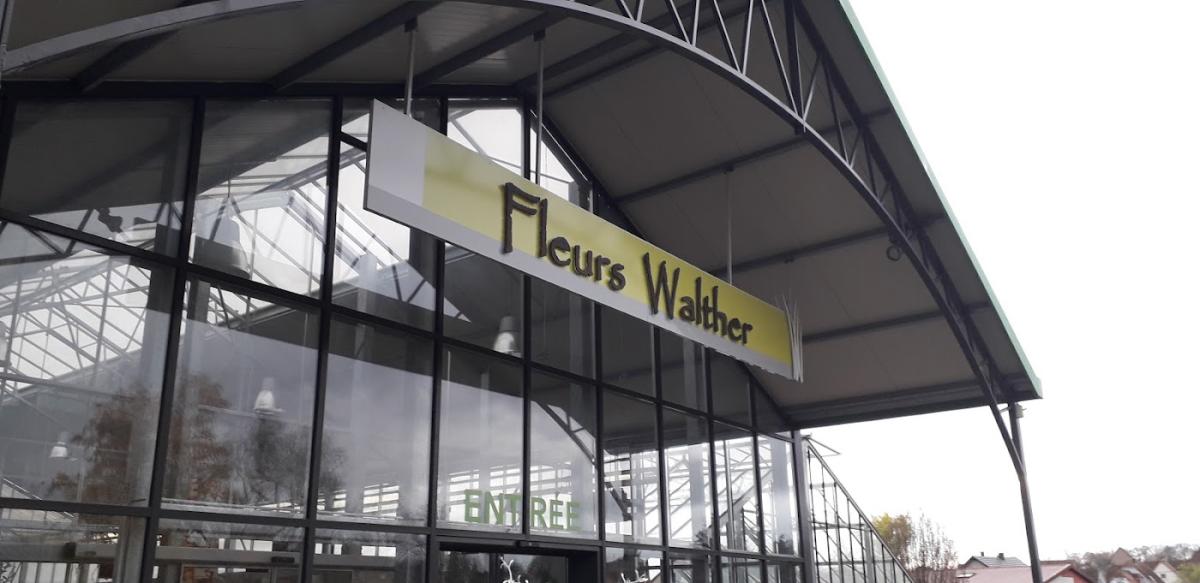Fleurs Walther-Horticulteur-Jardinerie-Fleuriste
