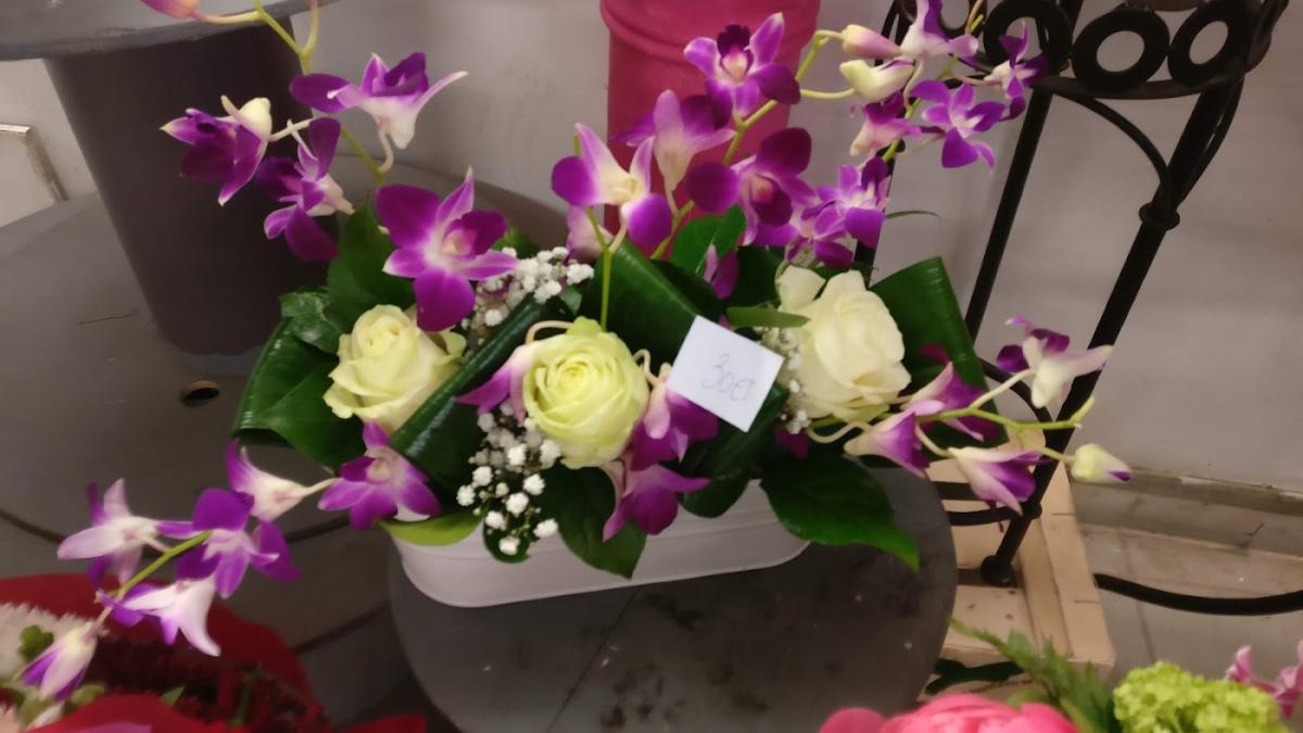 Teixera Alzira ` Fleurs De Lys'