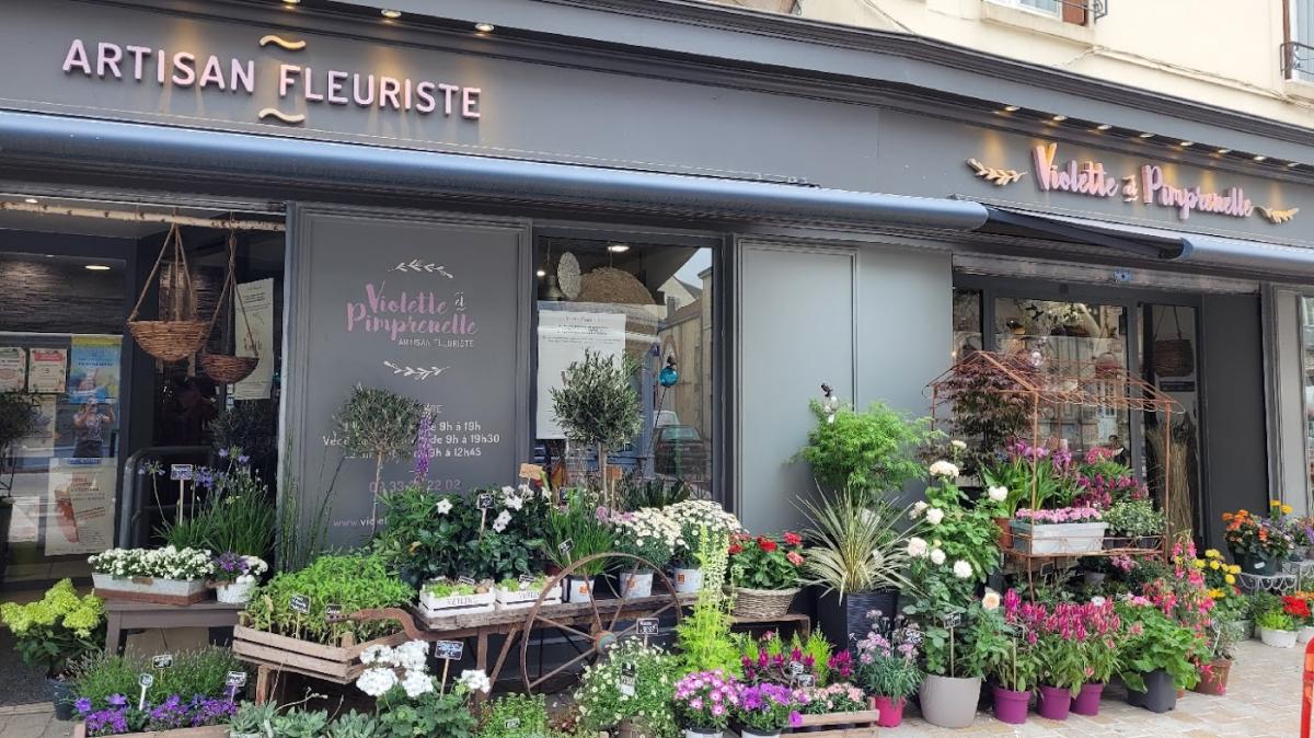 Violette Et Pimprenelle