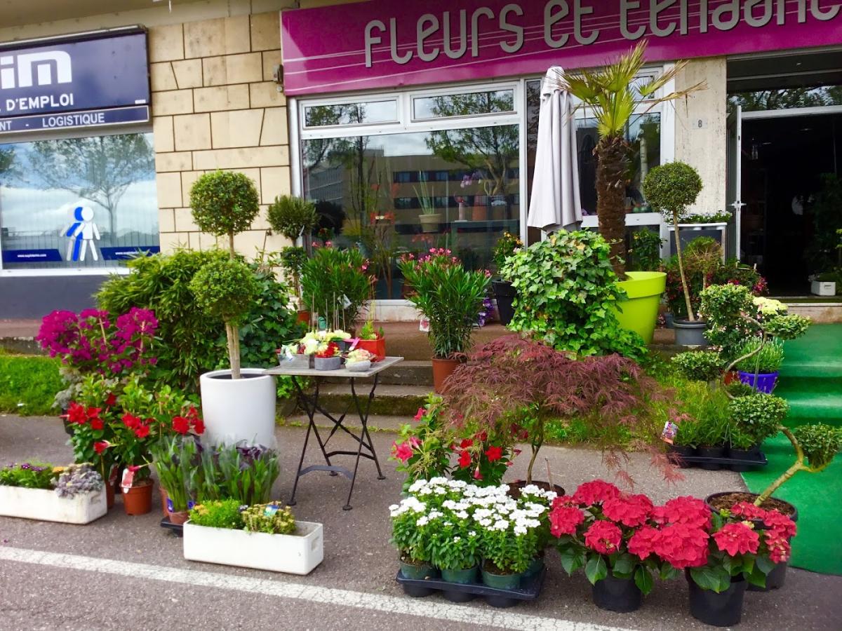 Fleurs et Tendances