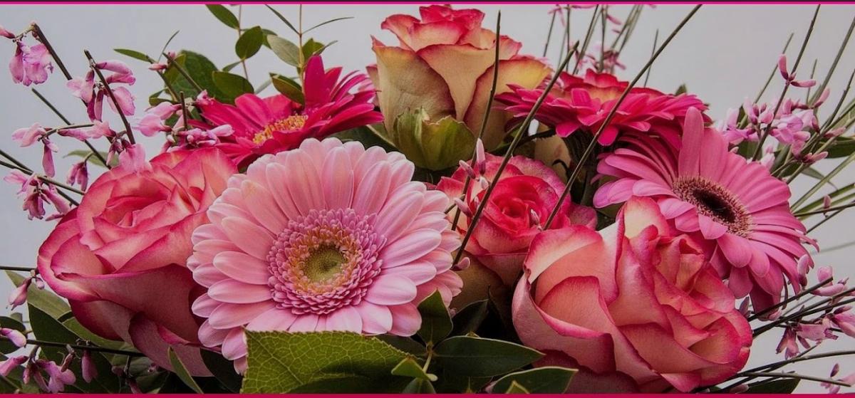 Cavagna Coster Gardiflor