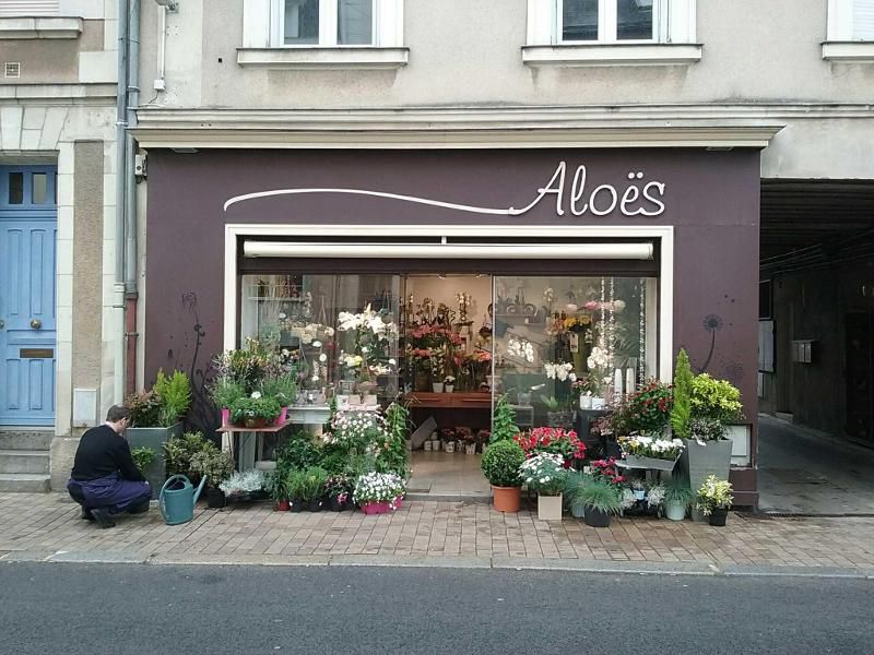 Aloës Fleurs, Angers