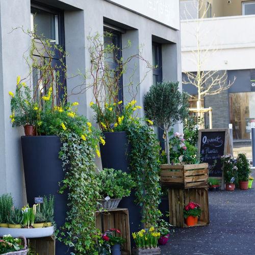 Atelier Hortensia et Marguerite, Fleuriste Angers