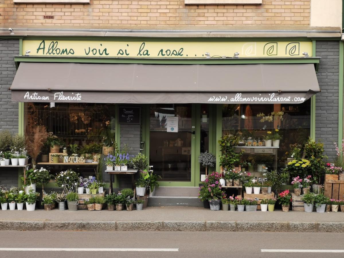 Allons Voir Si La Rose