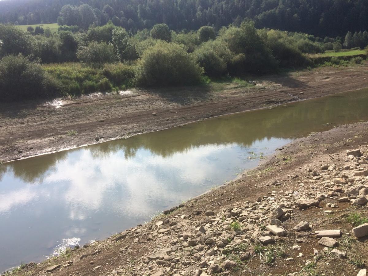 Livraison de fleurs et bouquets Morteau