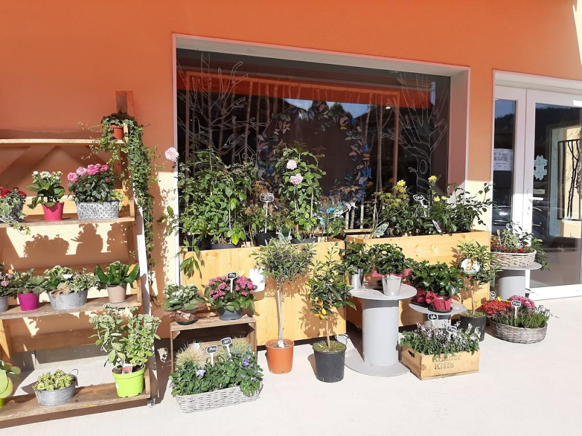 Pâquerette - Artisan Fleuriste