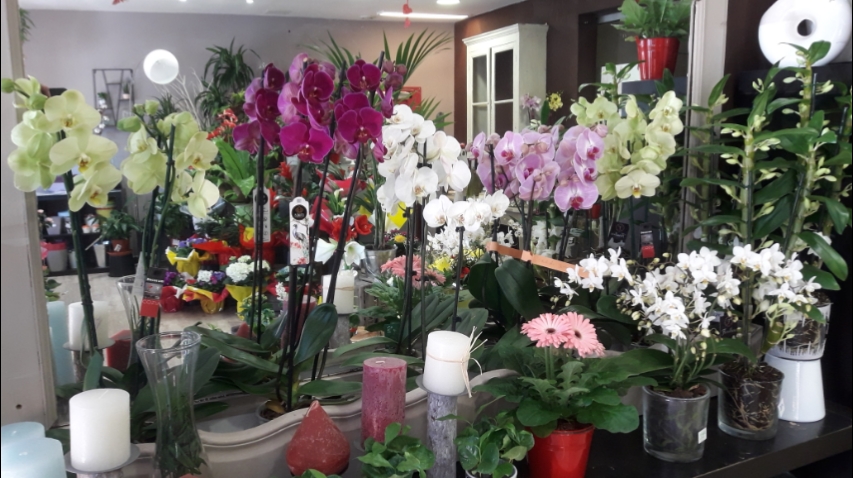 l'Atelier de Nicolas