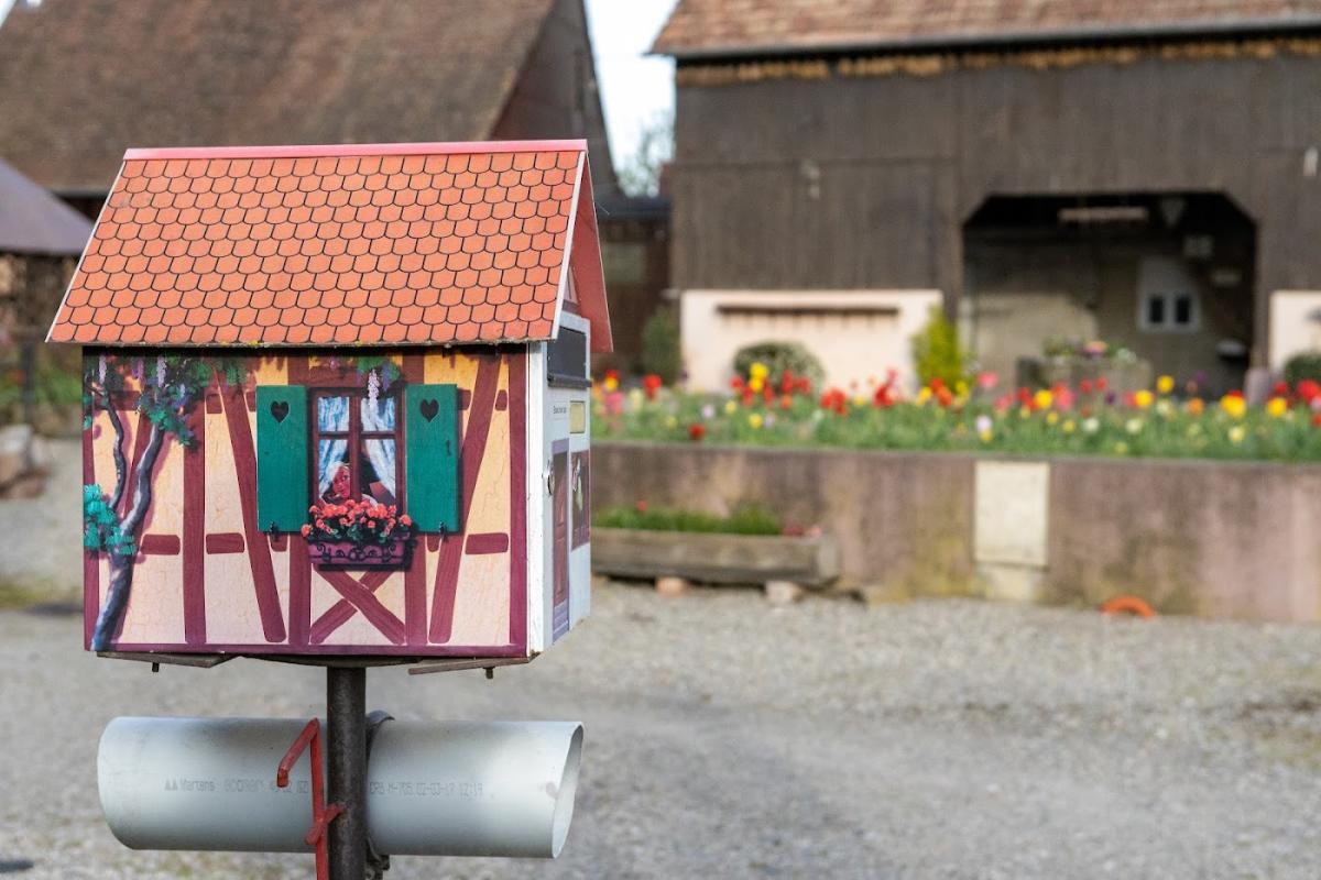 Rietsch Veselic Sandrine