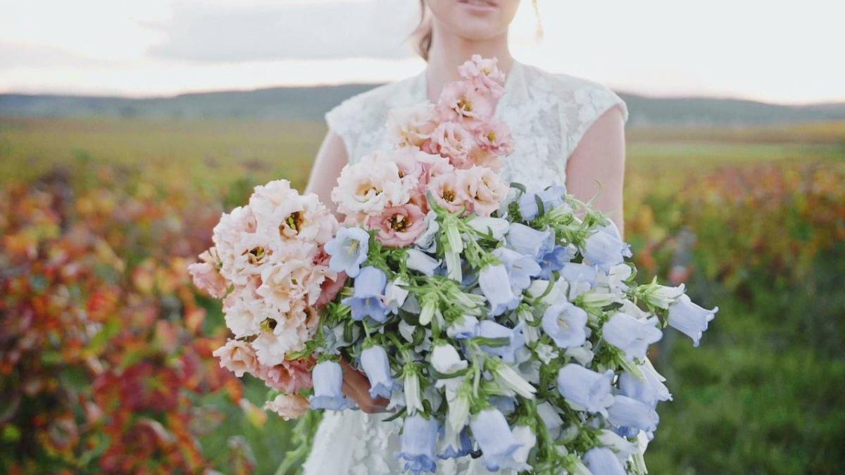 La libellule amoureuse