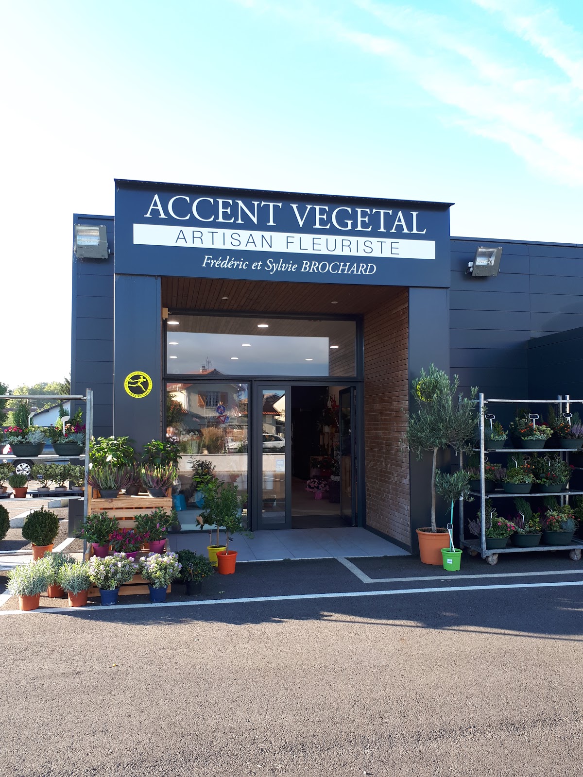 Accent Végétal