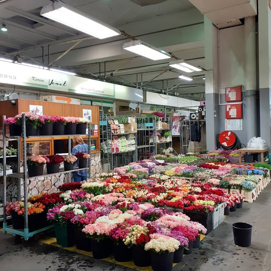 Karine et philippe Venet - Roses de paris