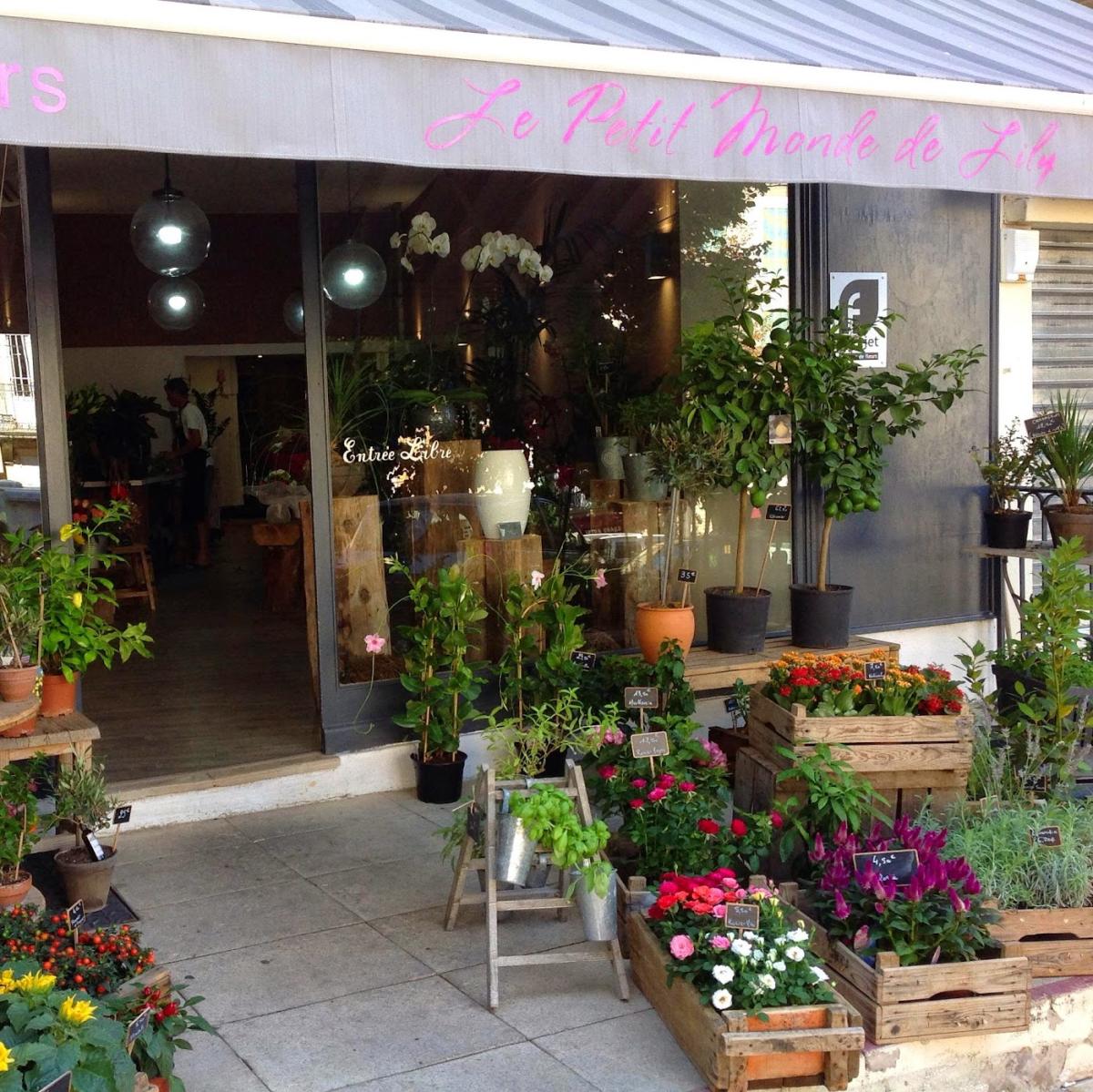 LE PETIT MONDE DE LILY