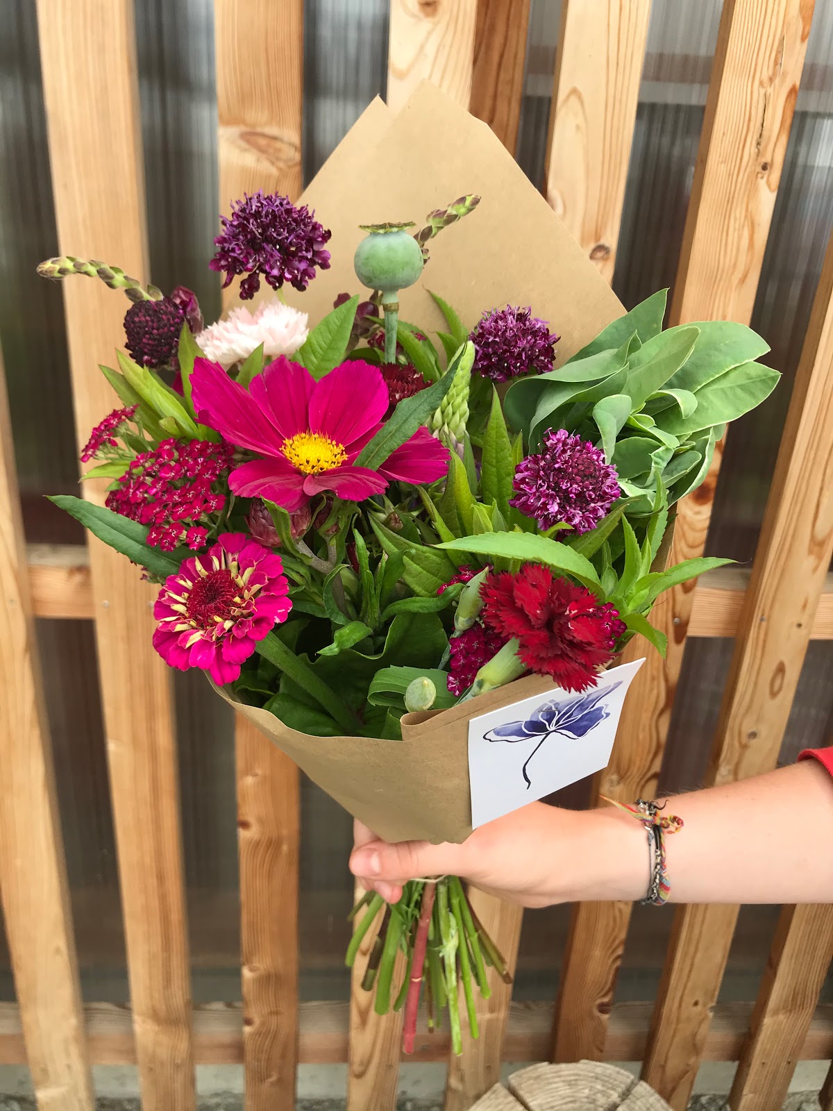 Poppie ferme florale