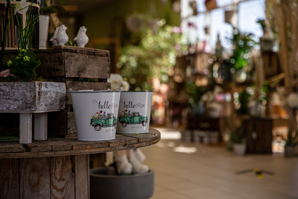 AUX FLEURS DE FABIENNE