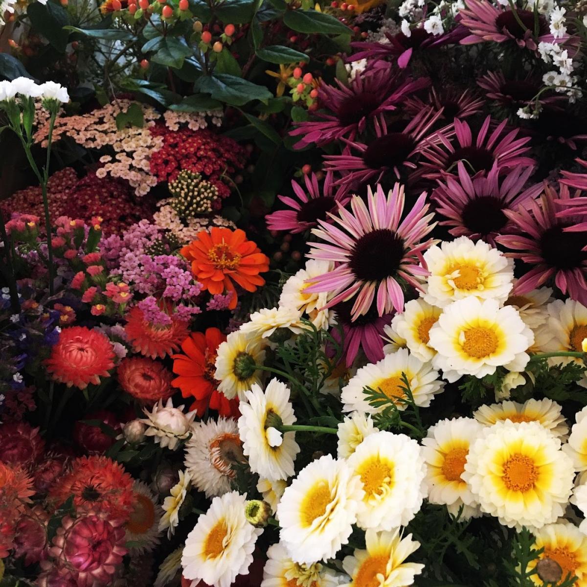 Fleurs Sauvages - Charline Bernard