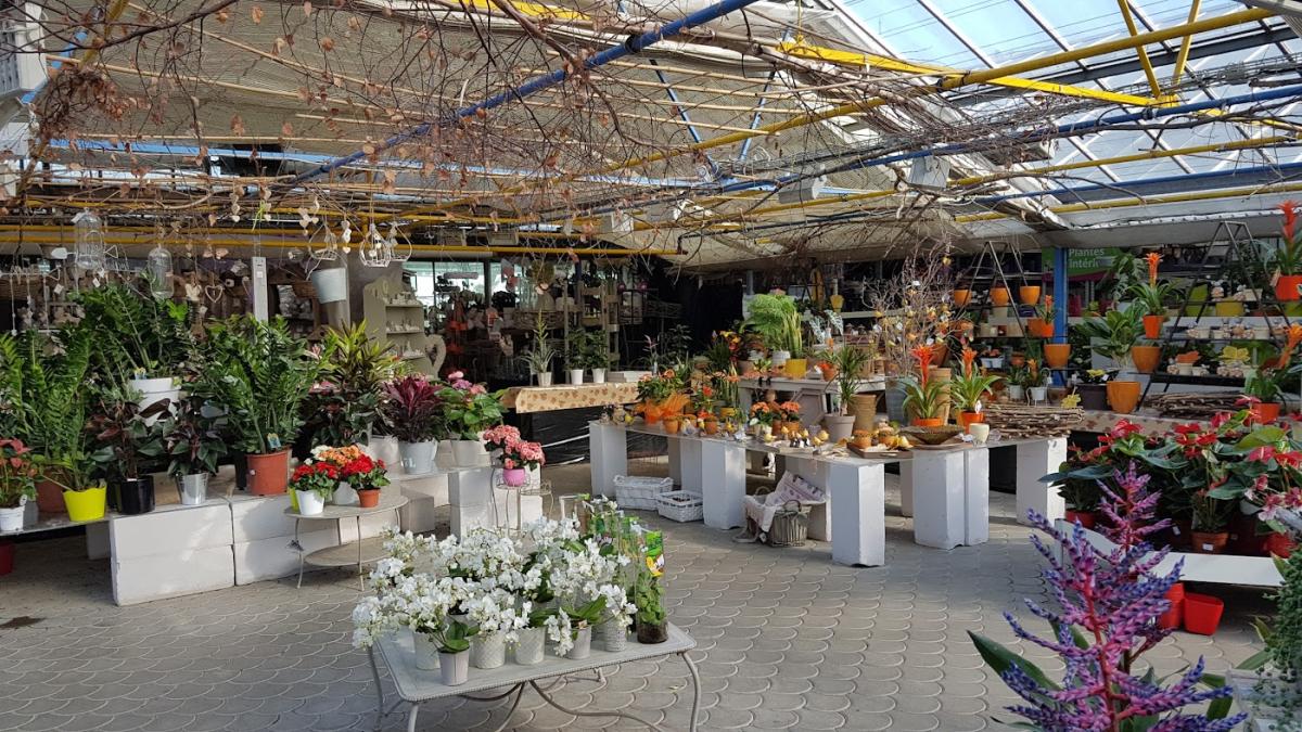 Le Point Vert Eichinger