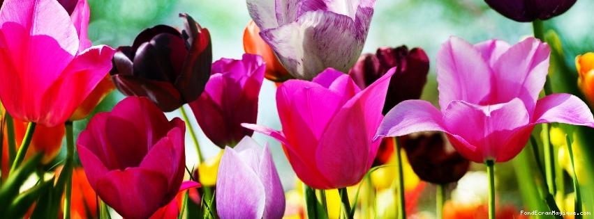 Les Jardins de Beausoleil