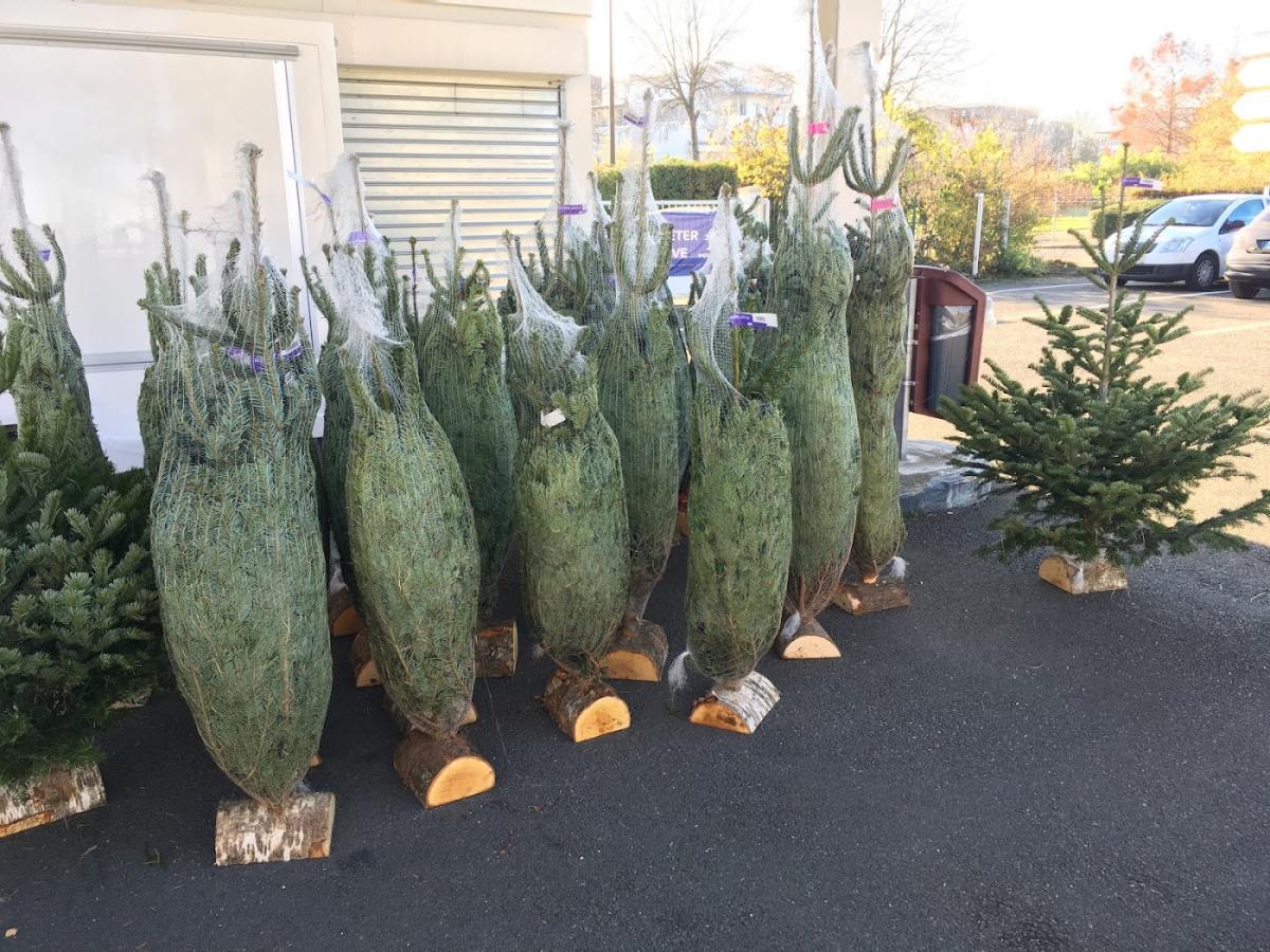 Maison Végétale - Flower Truck