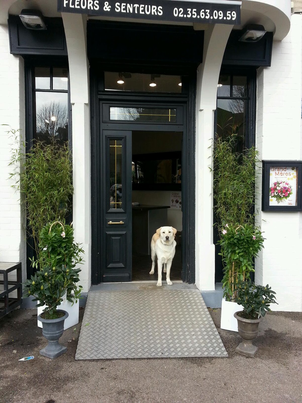 Fleurs & Senteurs, Artisan Fleuriste Rouen