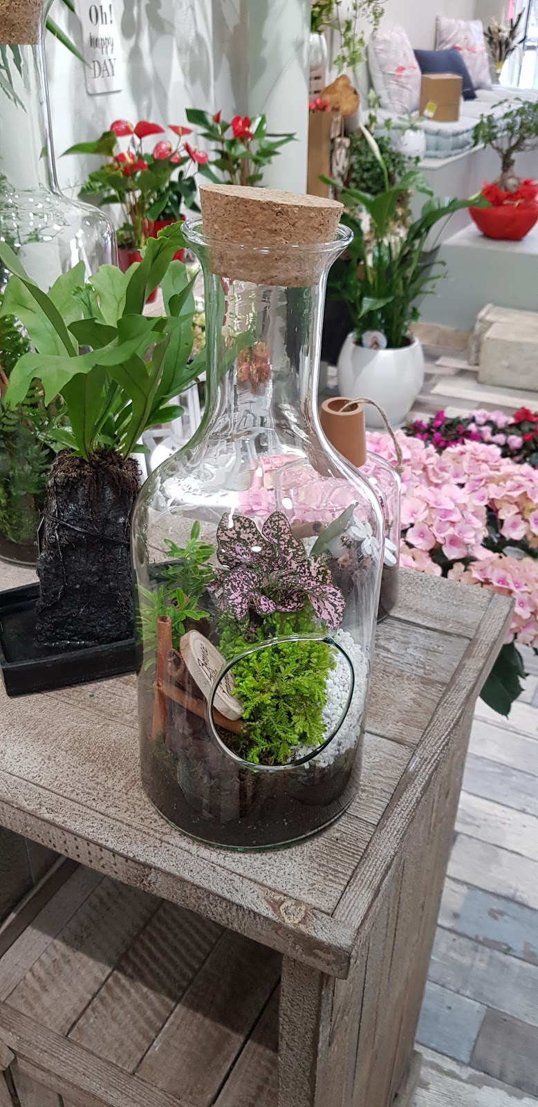 Sarl les Fleurs Du Bonheur