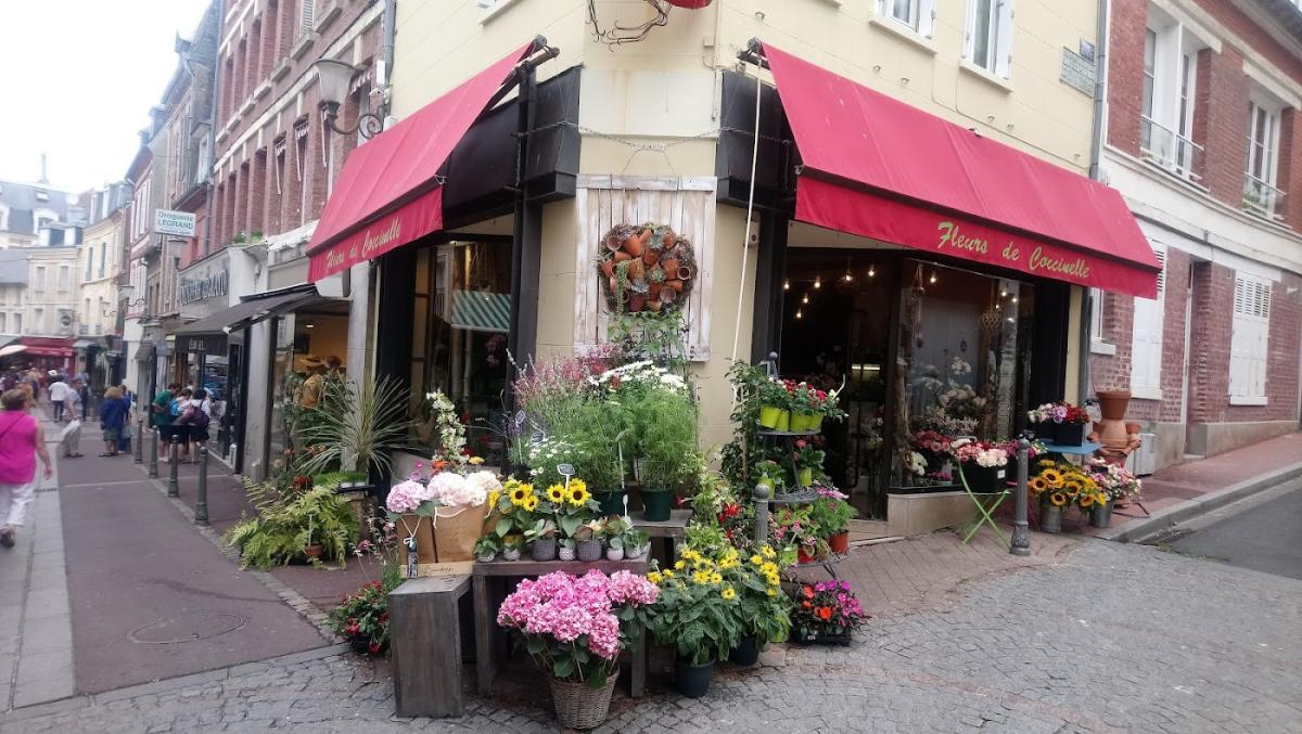 Fleurs de Coccinelle