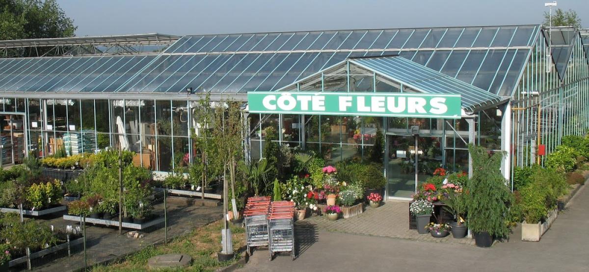 Cote Fleurs